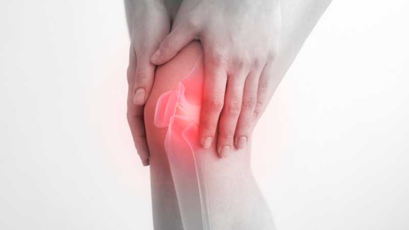 knee pain image